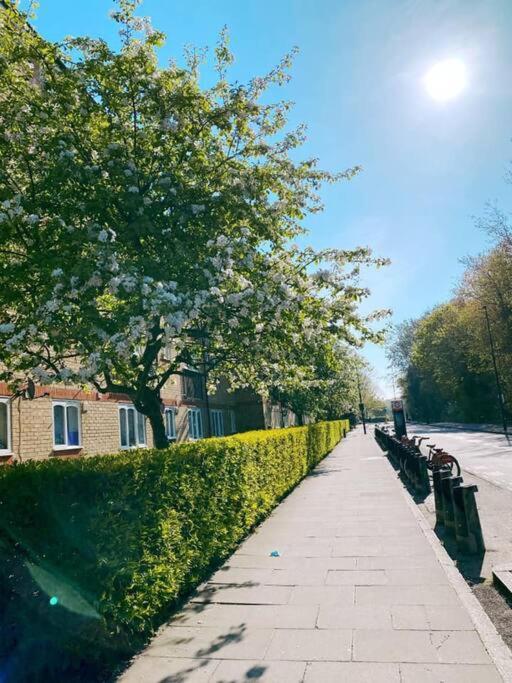 Bright &Spacious One Bedroom Flat Off Canary Wharf ロンドン エクステリア 写真